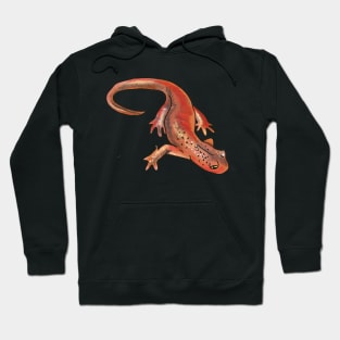 Newt Hoodie